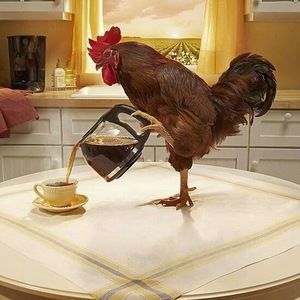 Meet your Posher, Kenny